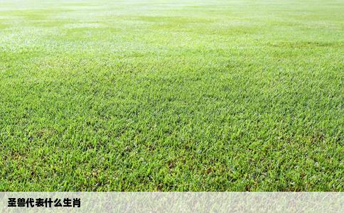 圣兽代表什么生肖