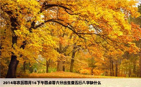 2014年农历四月16下午四点零六分出生查五行八字缺什么