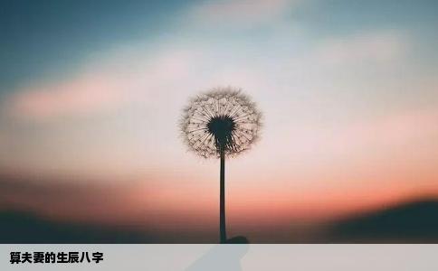 算夫妻的生辰八字