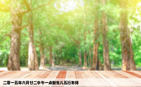 二零一五年六月廿二中午一点新生儿五行怎样
