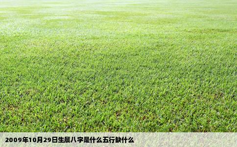 2009年10月29日生晨八字是什么五行缺什么