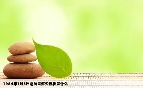 1984年1月5日阴历是多少属相是什么