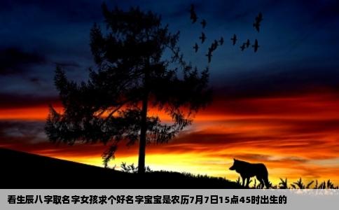 看生辰八字取名字女孩求个好名字宝宝是农历7月7日15点45时出生的