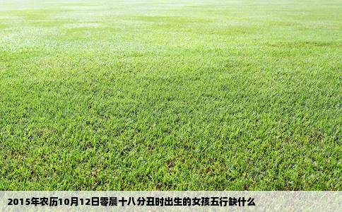 2015年农历10月12日零晨十八分丑时出生的女孩五行缺什么