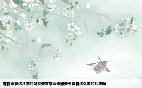 有能看懂这八字的吗女癸亥辛酉癸卯癸丑真有这么差的八字吗