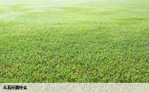 儿五行属什么