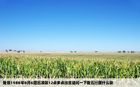我是1988年8月6阳历凌晨12点多点出生请问一下我五行属什么缺