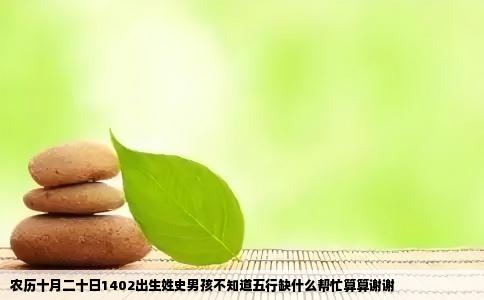 农历十月二十日1402出生姓史男孩不知道五行缺什么帮忙算算谢谢
