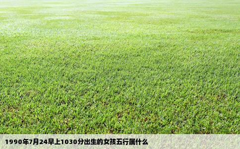 1990年7月24早上1030分出生的女孩五行属什么