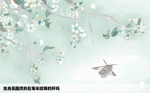 生肖是属虎的在兔年结婚的好吗