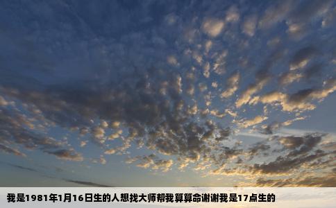 我是1981年1月16日生的人想找大师帮我算算命谢谢我是17点生的